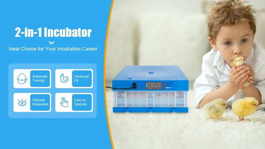 Incubator, 64 Egg Incubator 110V/12V Blue Incubator Automatic Smart Household Mini Chicken Egg Water Bed Incubator Box